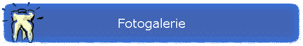 Fotogalerie
